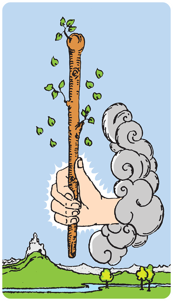 Ace of Wands tarot card illustration